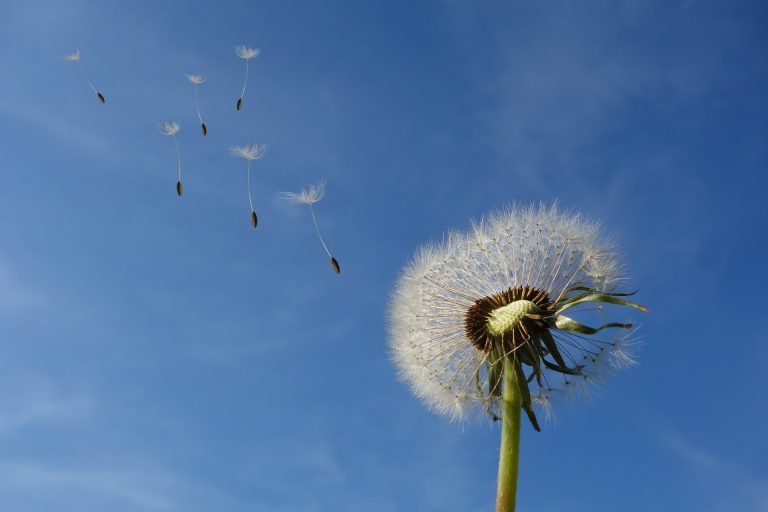 Willkommen im Blog